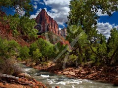 UTAH The Watchman, Zion National Park